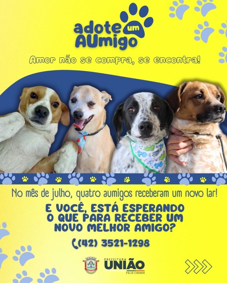 Defesa Animal reforça adoção responsável de animais que estão no abrigo municipal