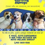 Defesa Animal reforça adoção responsável de animais que estão no abrigo municipal