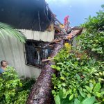 Defesa Civil atende ocorrências após temporal em União da Vitória