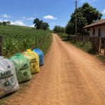 União da Vitória inicia coleta seletiva de recicláveis no interior em projeto piloto inédito